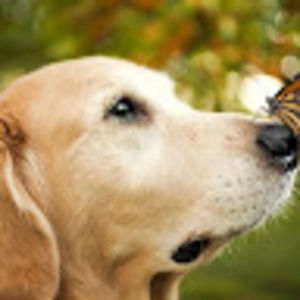 Meet your Posher, Juliane